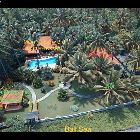 Bali North Beach B&B Tianyar Zewnętrze zdjęcie
