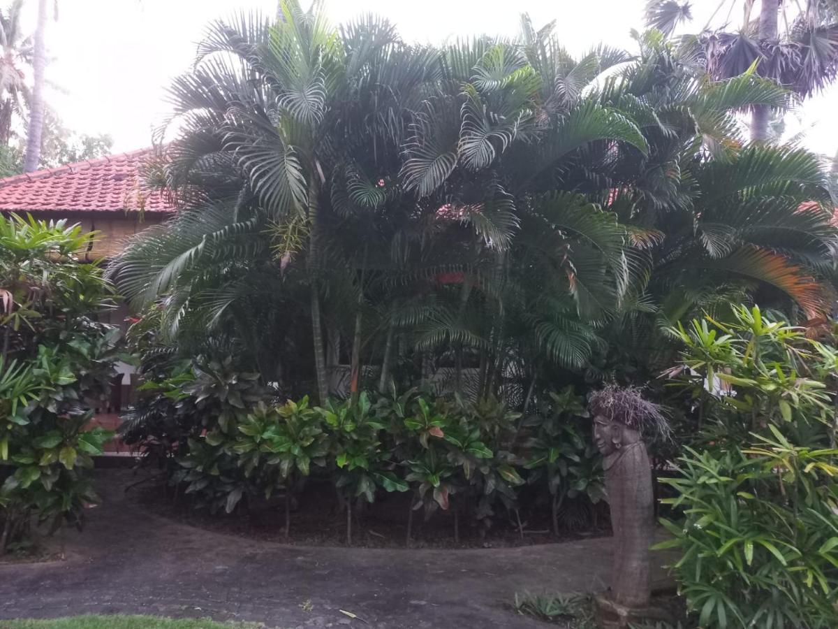 Bali North Beach B&B Tianyar Zewnętrze zdjęcie