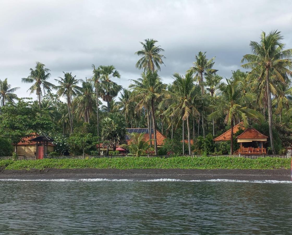 Bali North Beach B&B Tianyar Zewnętrze zdjęcie