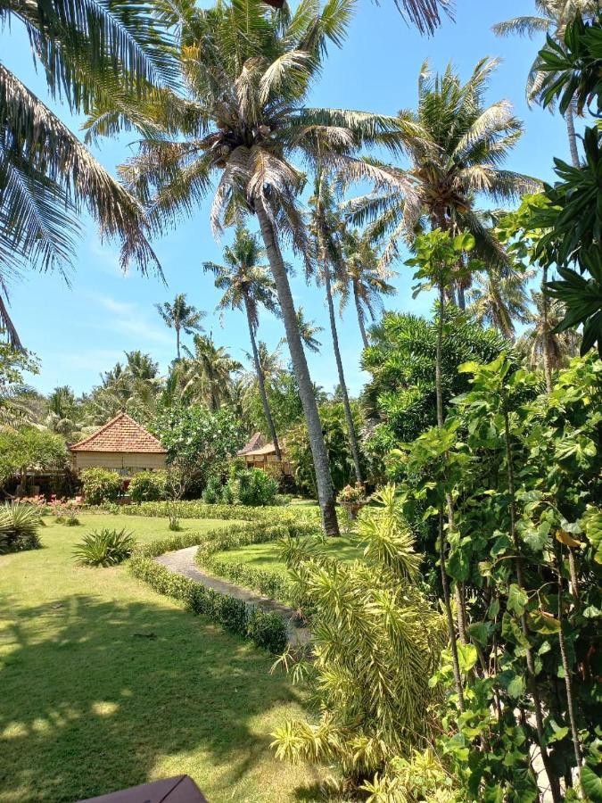 Bali North Beach B&B Tianyar Zewnętrze zdjęcie